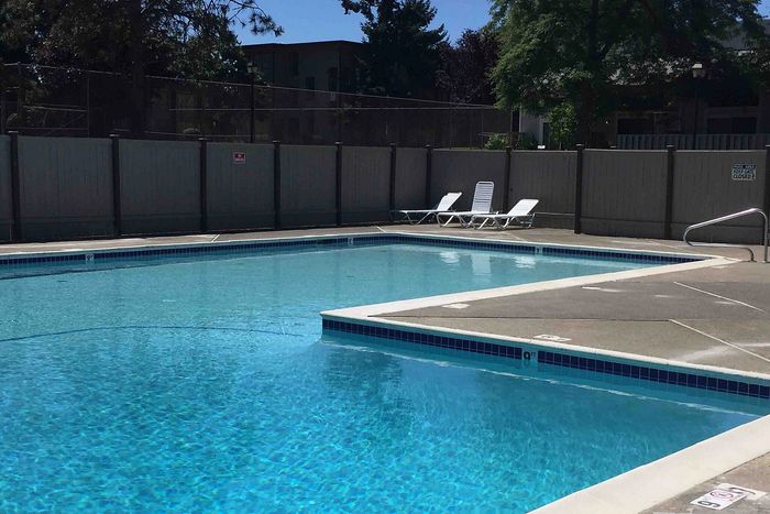 Inviting outdoor swimming pool with crystal-clear water and relaxing lounge chairs, perfect for a sunny retreat.