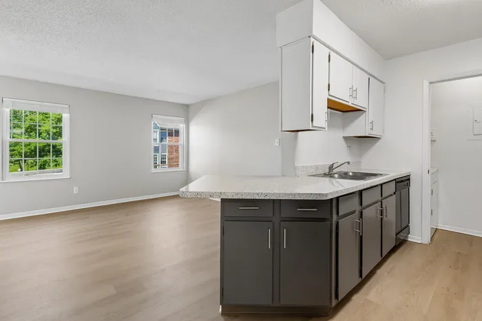Bright, open-concept kitchen and living area with modern cabinetry, large windows, and wood flooring, offering a welcoming and spacious feel.