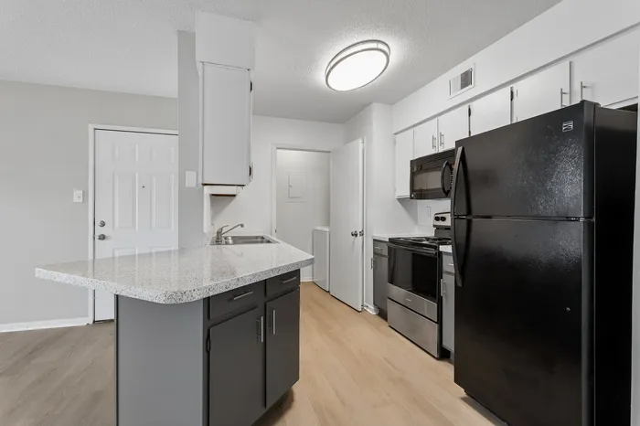 Modern kitchen with sleek black appliances, stylish cabinetry, and elegant granite countertops.