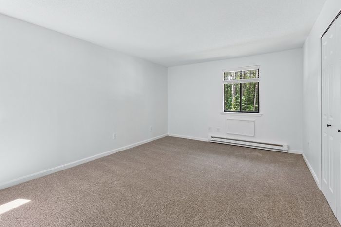 Bright and spacious bedroom with soft carpeting, large window overlooking greenery, and fresh white walls.