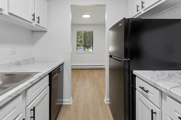 Modern kitchen with sleek black appliances, elegant marble countertops, and bright natural light.
