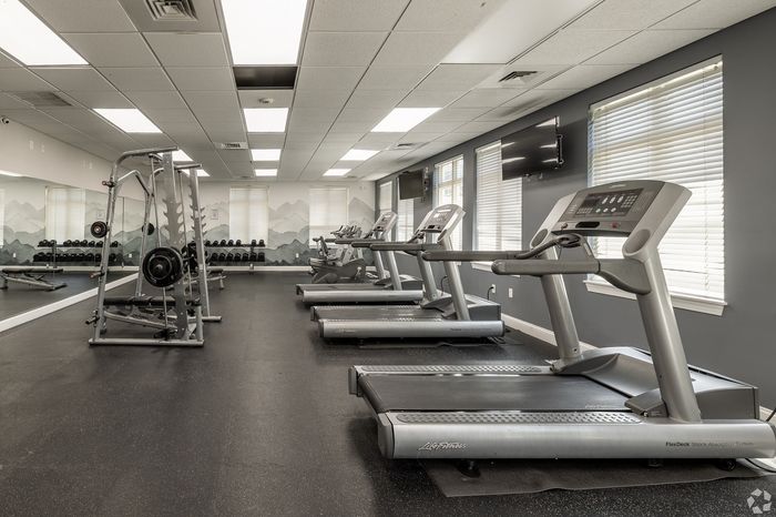 Modern fitness center featuring treadmills, weight machines, and scenic wall art in a spacious, well-lit room.