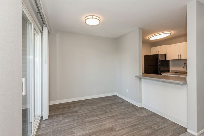 Modern apartment interior featuring sleek hardwood floors, a convenient open-plan kitchen with elegant cabinetry, and ample natural light from large sliding glass doors.