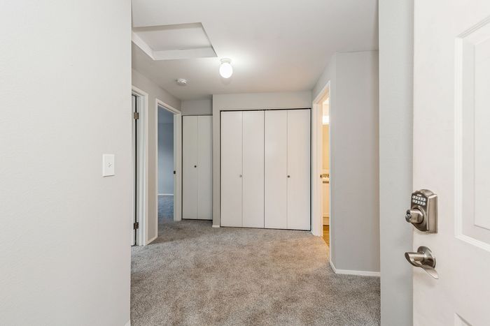 Inviting apartment hallway with plush carpeting, modern lighting, and convenient access to multiple rooms and spacious closets.