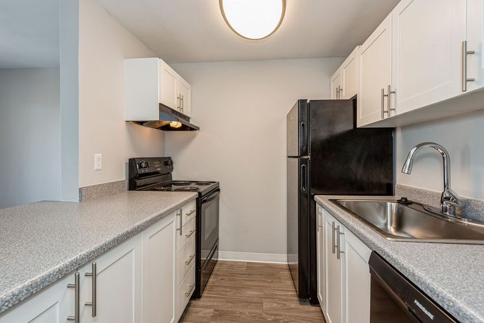 Modern kitchen featuring sleek white cabinets, stainless steel sink, and elegant black appliances.