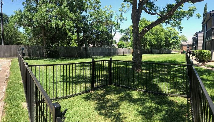 Lush green backyard with elegant black fencing and mature trees, offering tranquil outdoor space in a serene neighborhood.