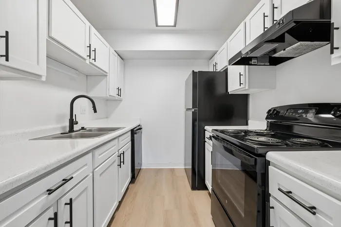 Sleek modern kitchen with elegant white cabinetry and contrasting black appliances, perfect for culinary creativity.