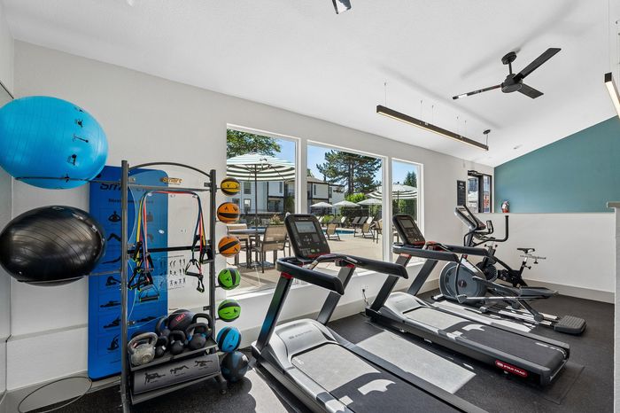Modern fitness center with state-of-the-art treadmills, exercise bike, and vibrant equipment overlooking a sunlit terrace.