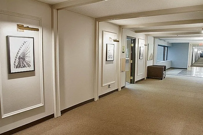 Elegant apartment hallway featuring tasteful artwork, soft carpet flooring, and ambient lighting.