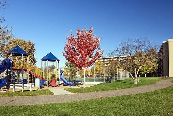 Vibrant community playground with colorful slides and climbing structures, surrounded by lush greenery and autumn trees, perfect for family fun.