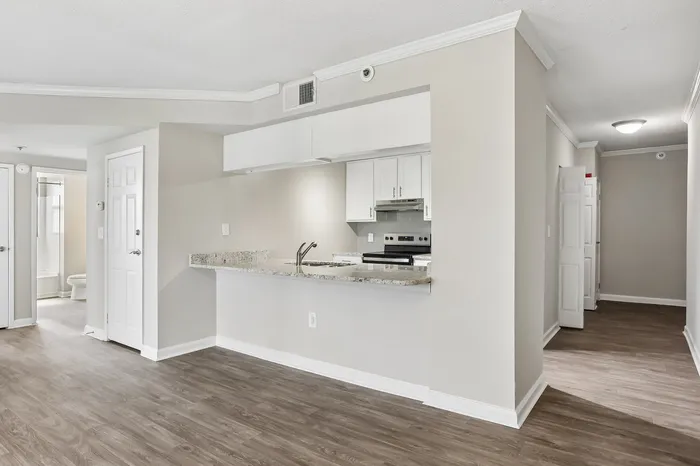 Modern open-concept apartment with sleek kitchen, granite countertops, and inviting hardwood floors.