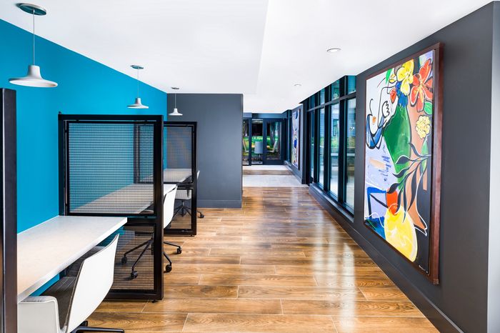 Modern co-working space with vibrant blue accent wall, individual desks, contemporary lighting, and colorful artwork enhancing the bright, open atmosphere.