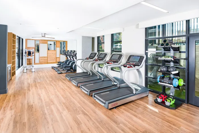 Modern fitness center with sleek treadmills, vibrant kettlebells, and bright, spacious design.