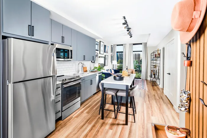 Bright and modern open-concept kitchen and living area with sleek gray cabinetry, stainless steel appliances, and stylish decor.
