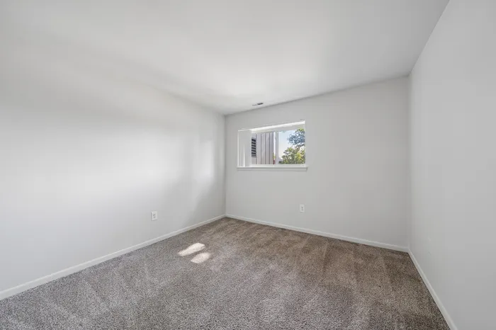 Bright, inviting empty room with soft carpet flooring and a window offering natural light and a view of green foliage.