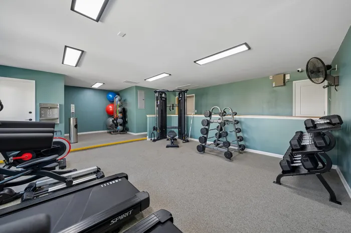 Modern fitness room featuring state-of-the-art cardio machines, weight racks, and colorful exercise balls for a comprehensive workout experience.