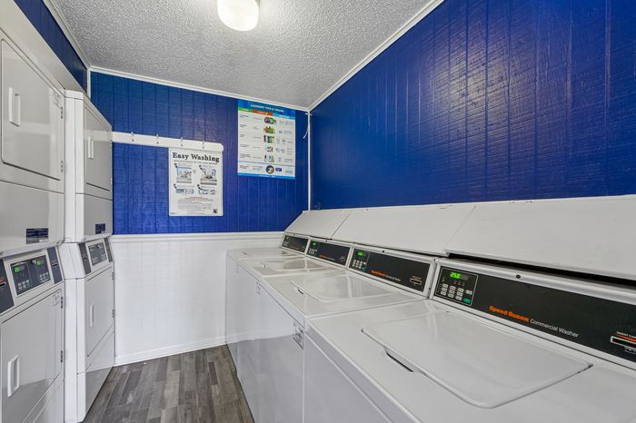Modern laundry room with efficient Speed Queen washers and dryers against a vibrant blue accent wall.