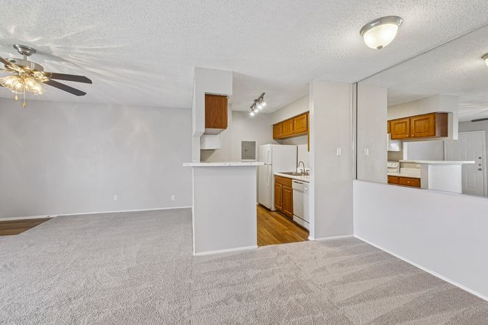Inviting open-concept apartment with plush carpeting, stylish ceiling fan, and efficiently designed kitchen featuring wooden cabinetry and ample lighting.