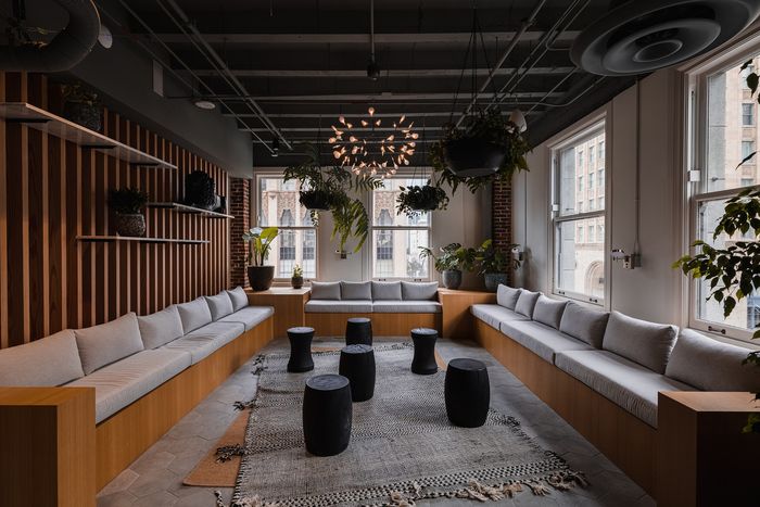 Chic industrial lounge with modern wood paneling, plush seating, hanging plants, and large windows offering natural light.