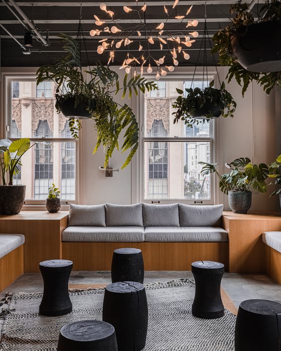 Chic apartment lounge with modern decor, featuring cozy seating, elegant hanging plants, and stylish lighting.