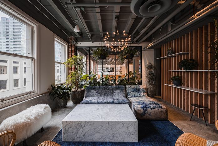 Modern apartment lounge with stylish decor, featuring a plush blue velvet sofa, sleek marble coffee table, and vibrant indoor plants creating a fresh vibe.