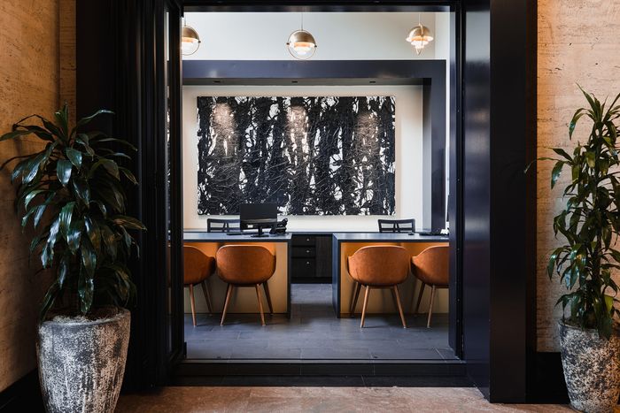 Modern office interior with elegant seating and striking wall art, framed by lush potted plants and stylish lighting.