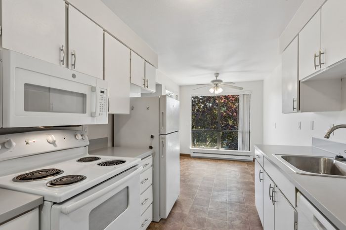 Bright, modern kitchen with sleek white cabinets, large window, and stylish appliances, perfect for culinary creativity.