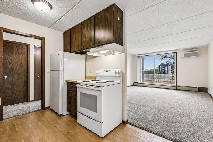 Bright apartment kitchen with sleek wood cabinetry, adjacent to a spacious living area featuring large windows for ample natural light.