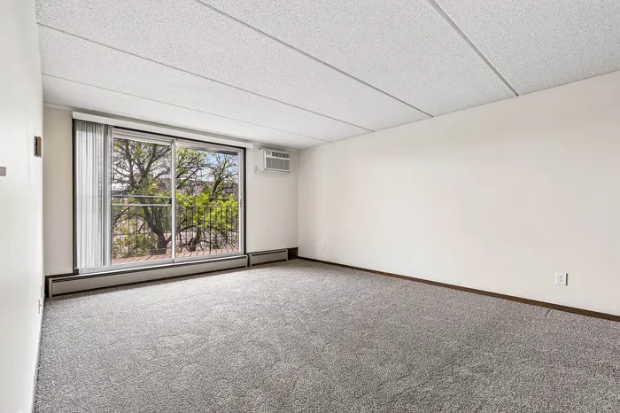 Bright and airy living room with large windows, showcasing lush greenery outside and a cozy carpeted floor.