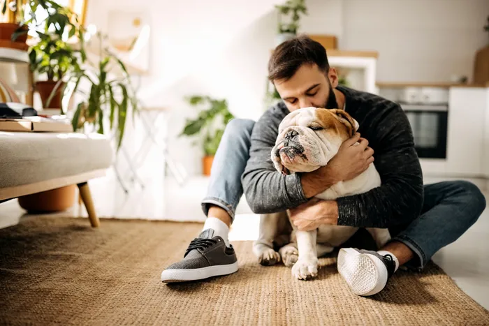 Cozy apartment living room featuring a relaxed man embracing a bulldog, surrounded by lush green plants and warm natural light.
