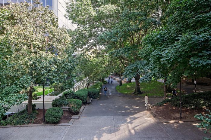Vibrant urban park scene with lush greenery, tall trees, and people strolling on a sunny day, creating a serene and inviting atmosphere.
