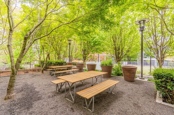 Inviting outdoor patio with picnic tables surrounded by lush greenery, perfect for relaxation and gatherings.