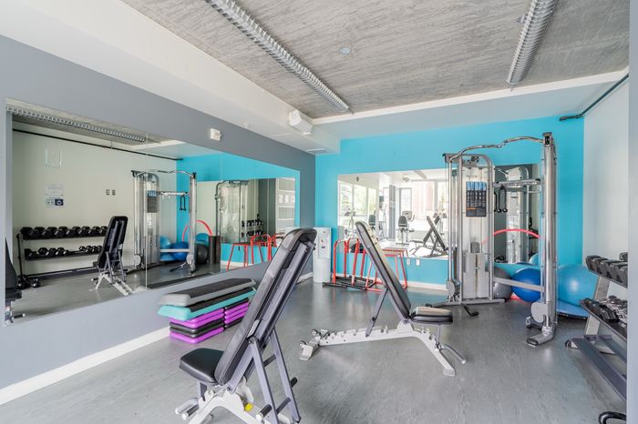 Modern apartment gym featuring state-of-the-art workout equipment, bright blue accent wall, and large mirrors for an open feel.