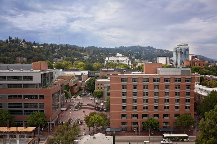Breathtaking urban landscape view showcasing modern brick buildings with lush green hills in the background, perfect for a vibrant city living experience.