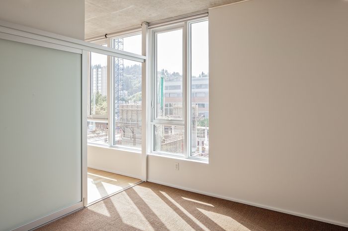 Bright apartment corner featuring large windows with scenic urban views and warm natural light streaming onto the carpeted floor.