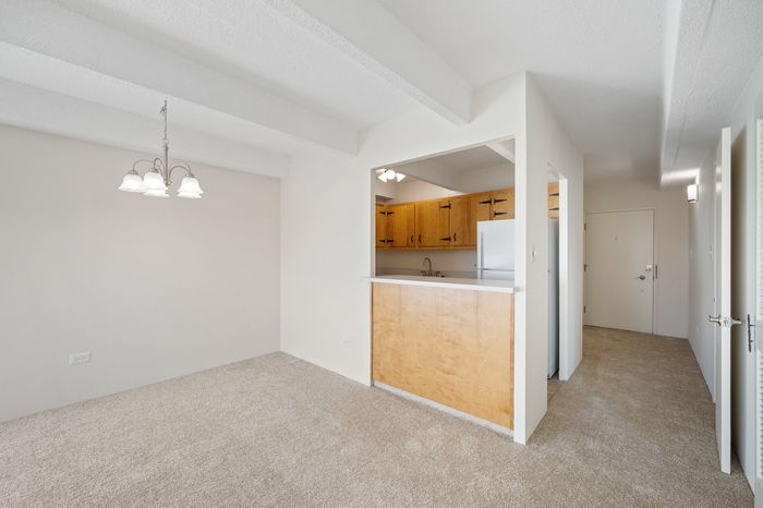 Bright and welcoming apartment interior showcasing a cozy open-plan living space with modern light fixtures, plush carpeting, and a stylish wooden kitchen counter.