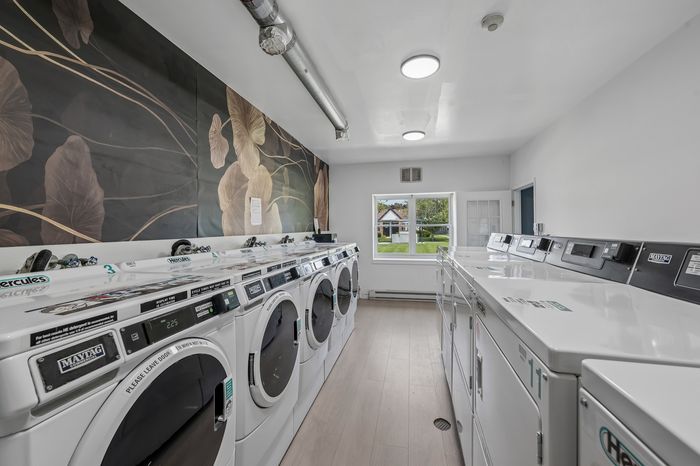 Bright and modern laundry room featuring top-of-the-line washing machines, sleek flooring, and artistic wall decor with nature-inspired design.
