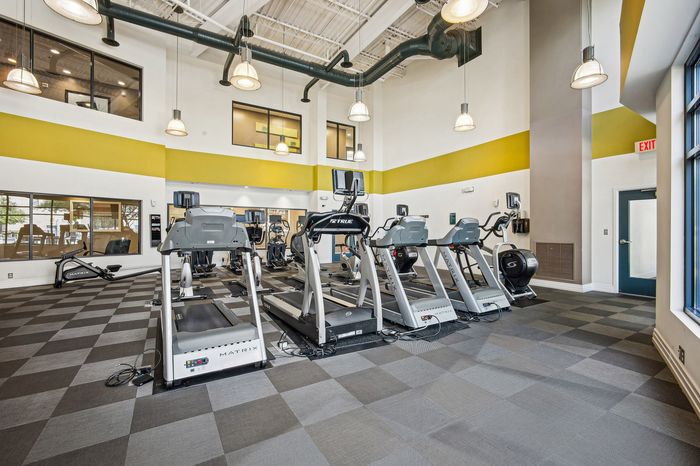 Modern fitness center with state-of-the-art treadmills and stylish industrial design, offering a bright and spacious workout environment.