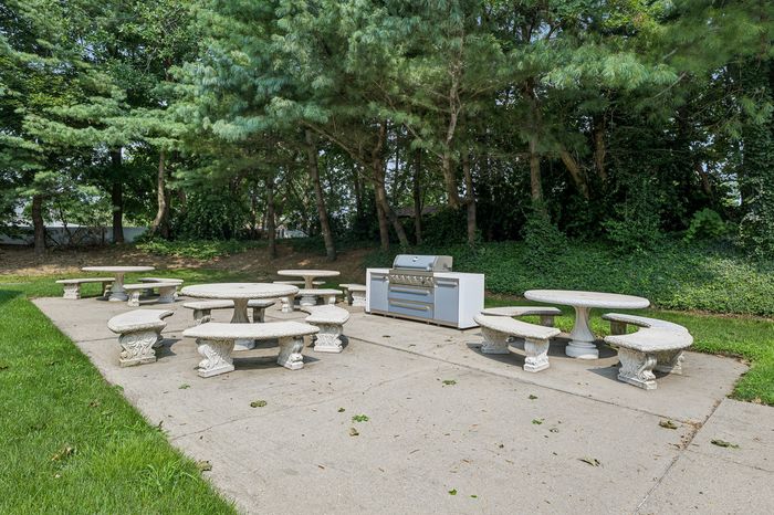 Inviting outdoor picnic area with elegant stone tables and a modern grill, surrounded by lush greenery.