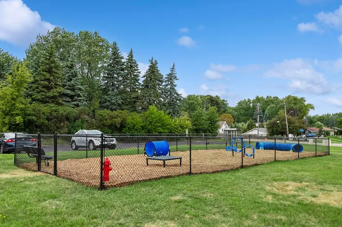 Charming fenced dog park with agility equipment set in a lush, green suburban landscape.