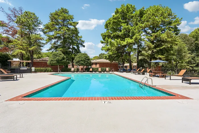Inviting outdoor pool area with lounge chairs, surrounded by lush greenery and tall trees under a clear blue sky.