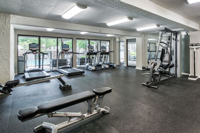 Modern fitness center with state-of-the-art equipment, including treadmills and weight machines, set in a bright space with large windows offering a refreshing view.
