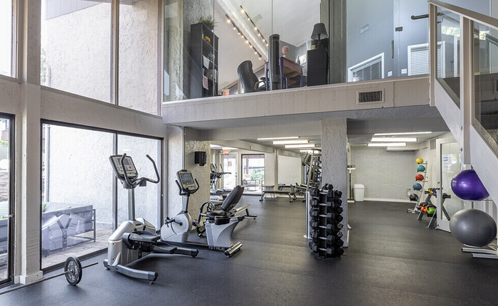 Modern gym facility with state-of-the-art equipment, large windows for natural light, and a spacious design for various workouts.