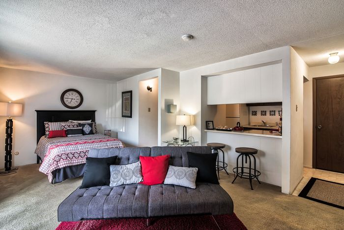Charming studio apartment with cozy sleeping area, modern kitchenette, and inviting lounge space with stylish decor.