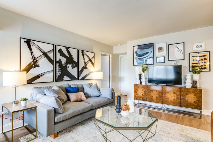 Modern living room with sleek gray sofa, abstract art, and elegant decor enhancing a cozy ambiance.