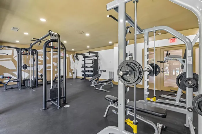 Modern fitness center with state-of-the-art gym equipment, pristine interiors, and a welcoming exercise environment.