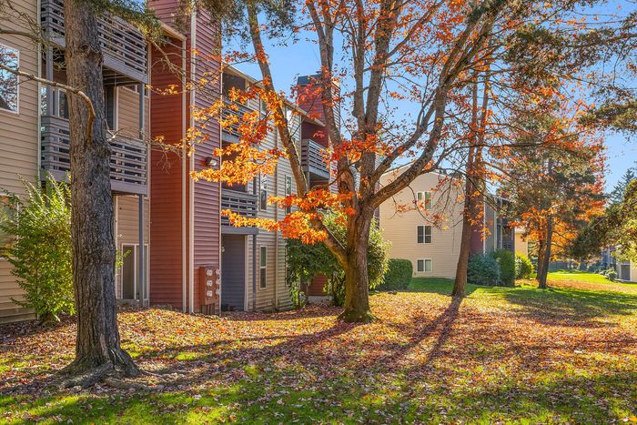 Charming apartment exterior with vibrant autumn foliage and beautiful tree-lined landscape.