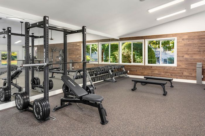 Modern apartment gym featuring top-tier equipment, weightlifting bench, and vibrant natural light.