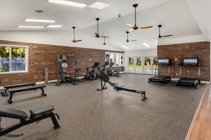 Contemporary fitness center featuring state-of-the-art cardio machines, weight benches, and vibrant natural lighting.
