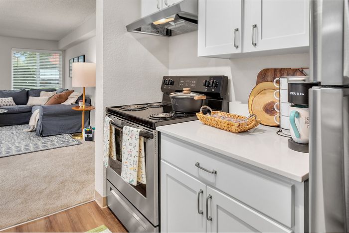 Inviting apartment kitchen with sleek stainless-steel appliances, stylish cabinetry, and a cozy adjacent living room featuring plush seating and warm decor.